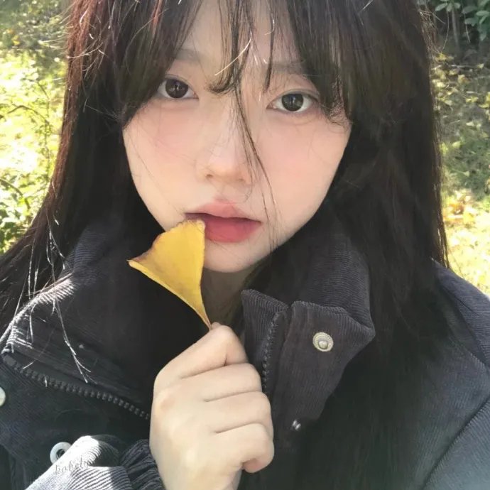 良陈美锦