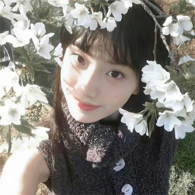 杨光的快乐生活2